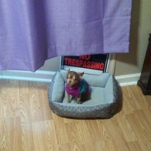 Meet your Posher, Fore